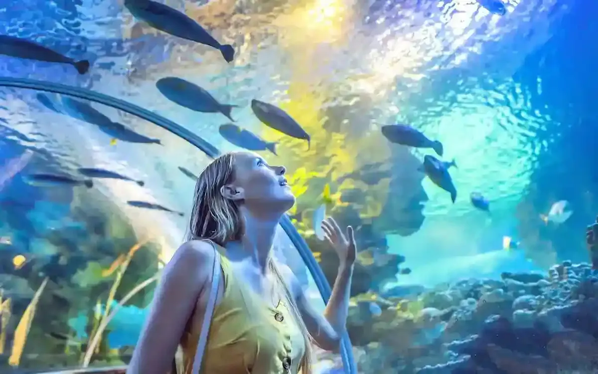 DUBAI AQUARIUM AND UNDERWATER ZOO WITH PENGUIN COVE