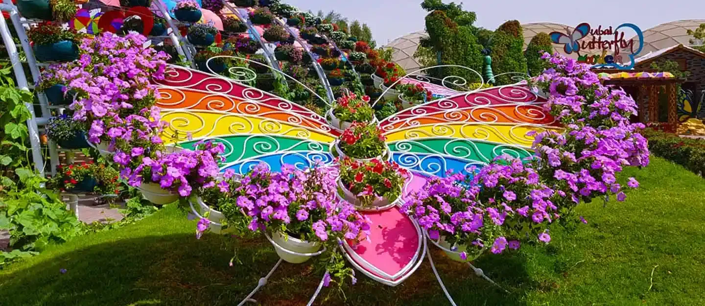 DUBAI BUTTERFLY GARDEN
