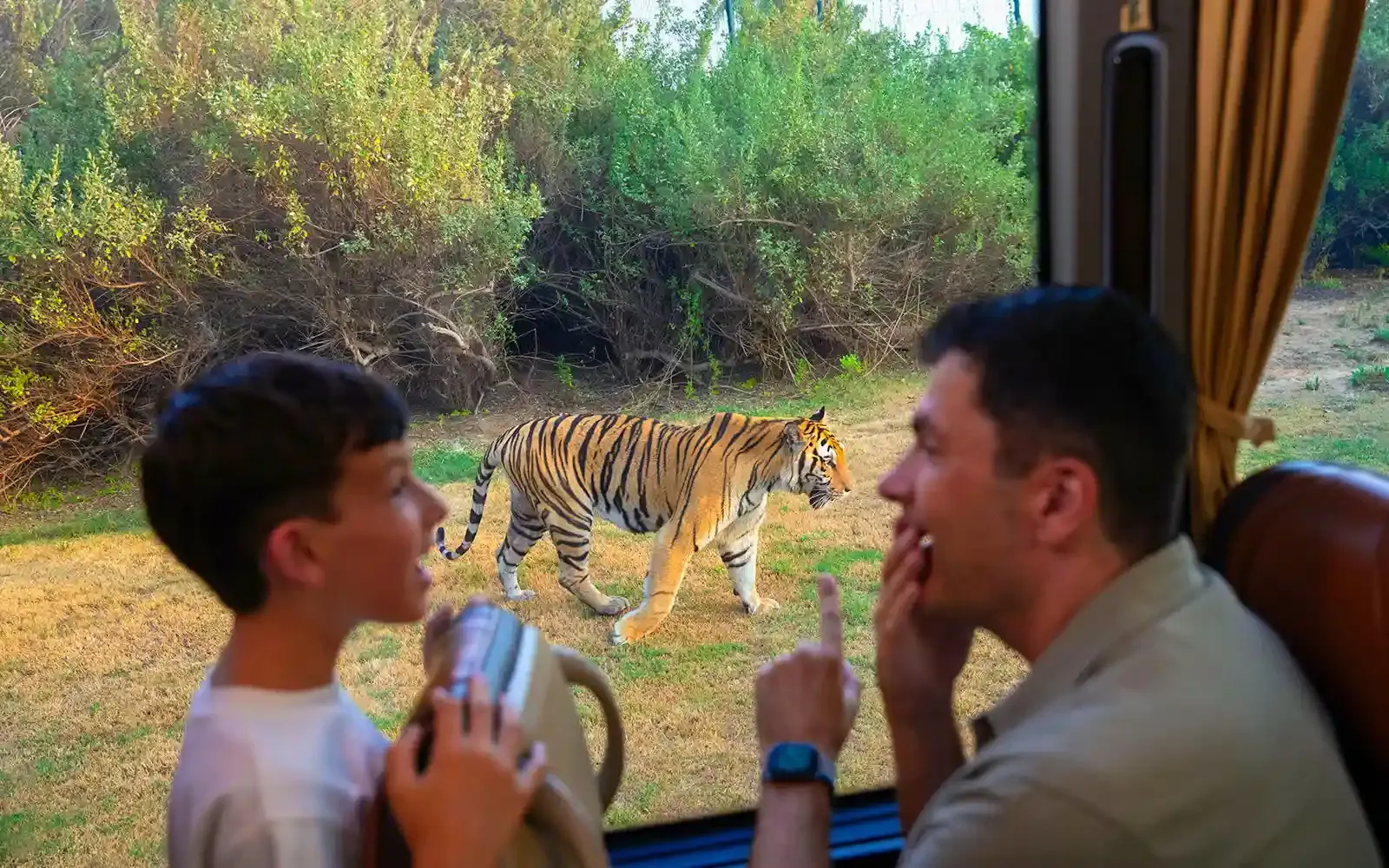 DUBAI SAFARI PARK