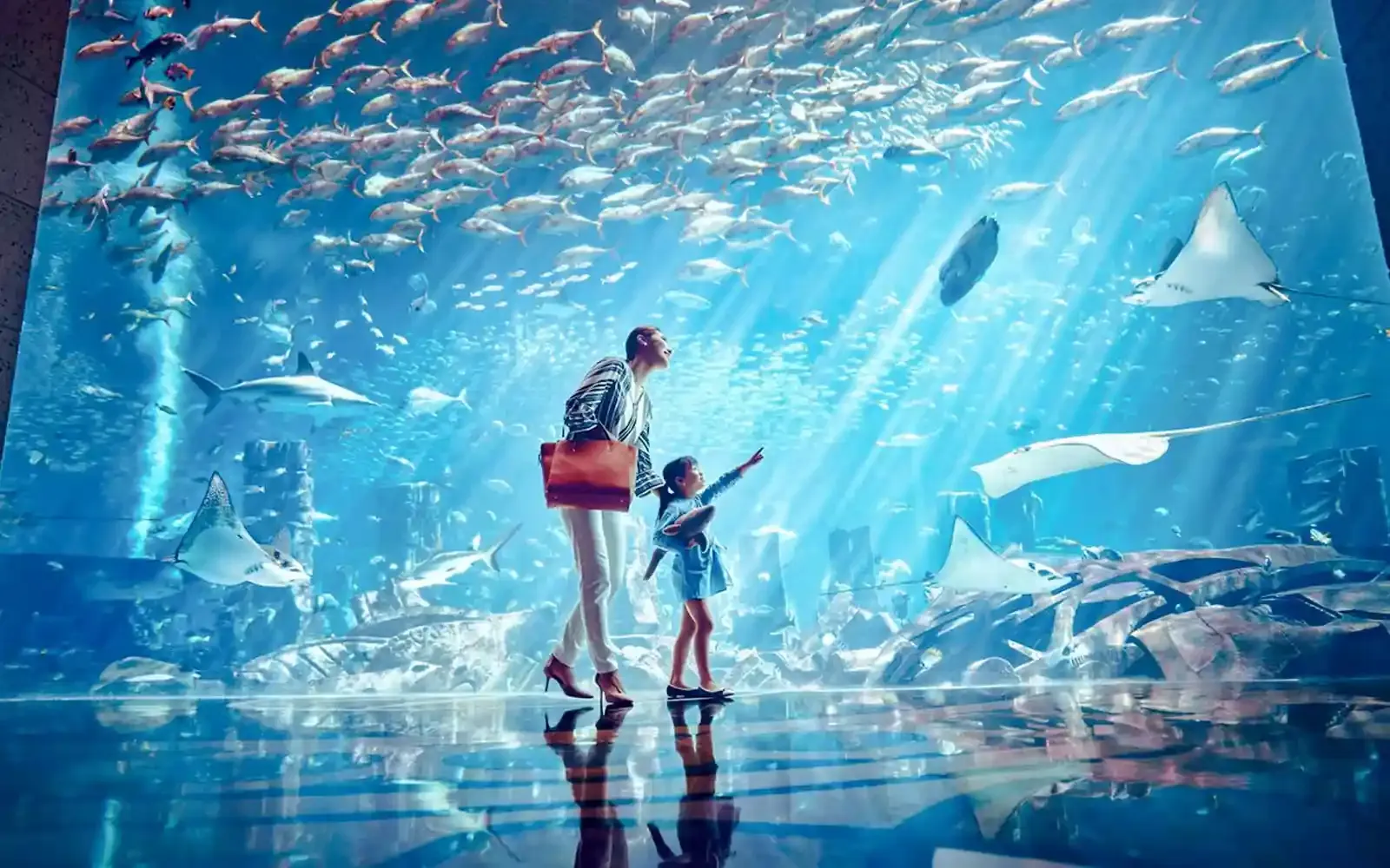 Lost World Aquarium Day Pass